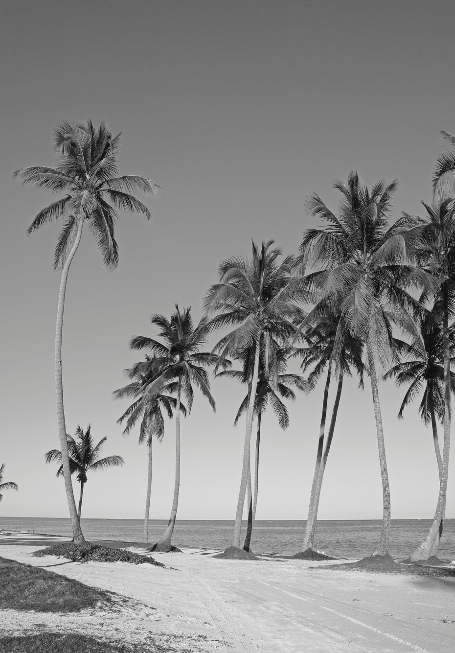 Black and white beach