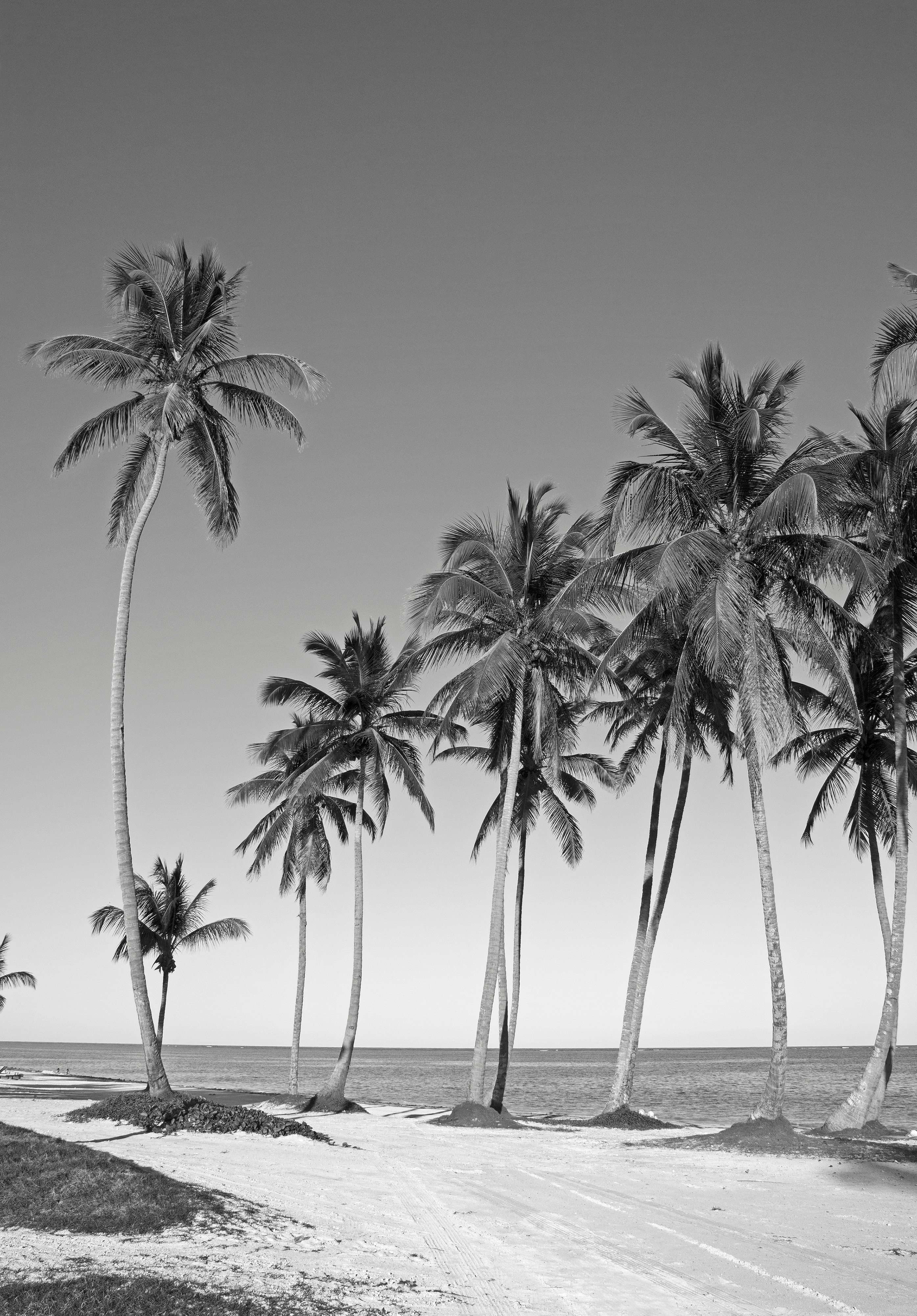 Black and white beach